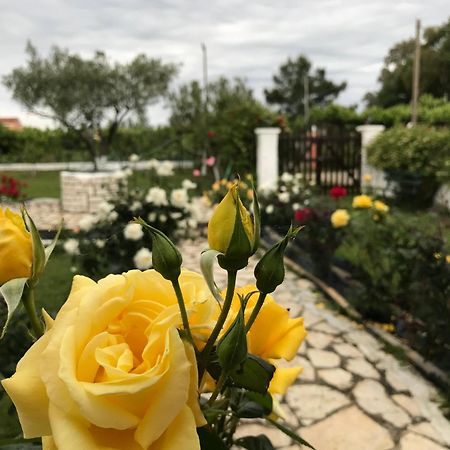Yiouli Holiday Home Acharavi  Zewnętrze zdjęcie