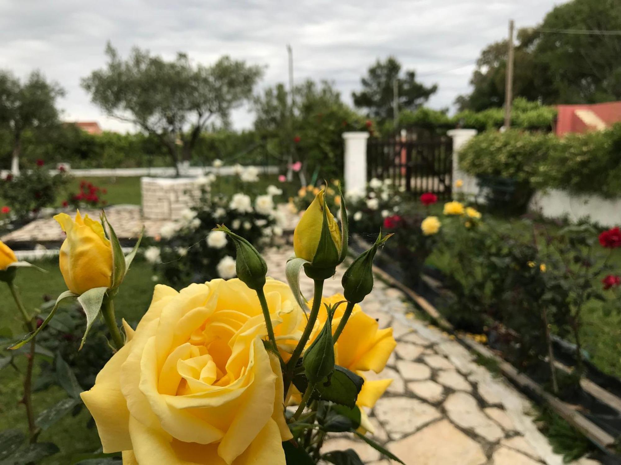 Yiouli Holiday Home Acharavi  Zewnętrze zdjęcie